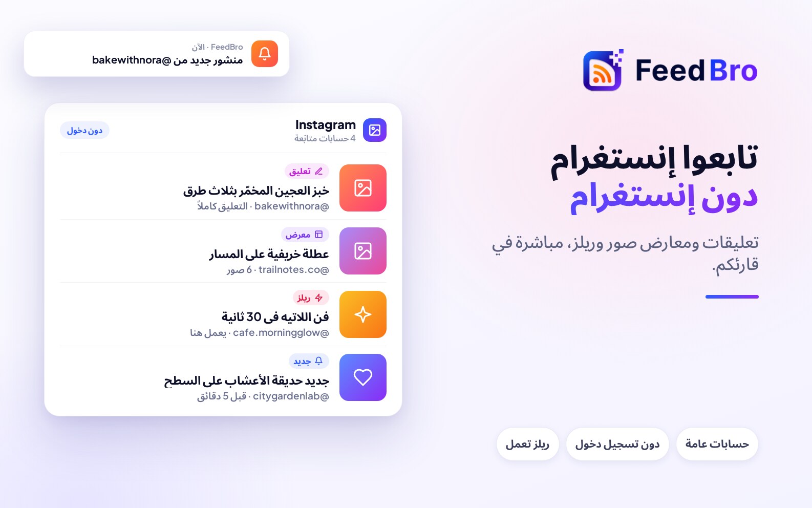 تابعوا حسابات إنستغرام العامة في FeedBro
