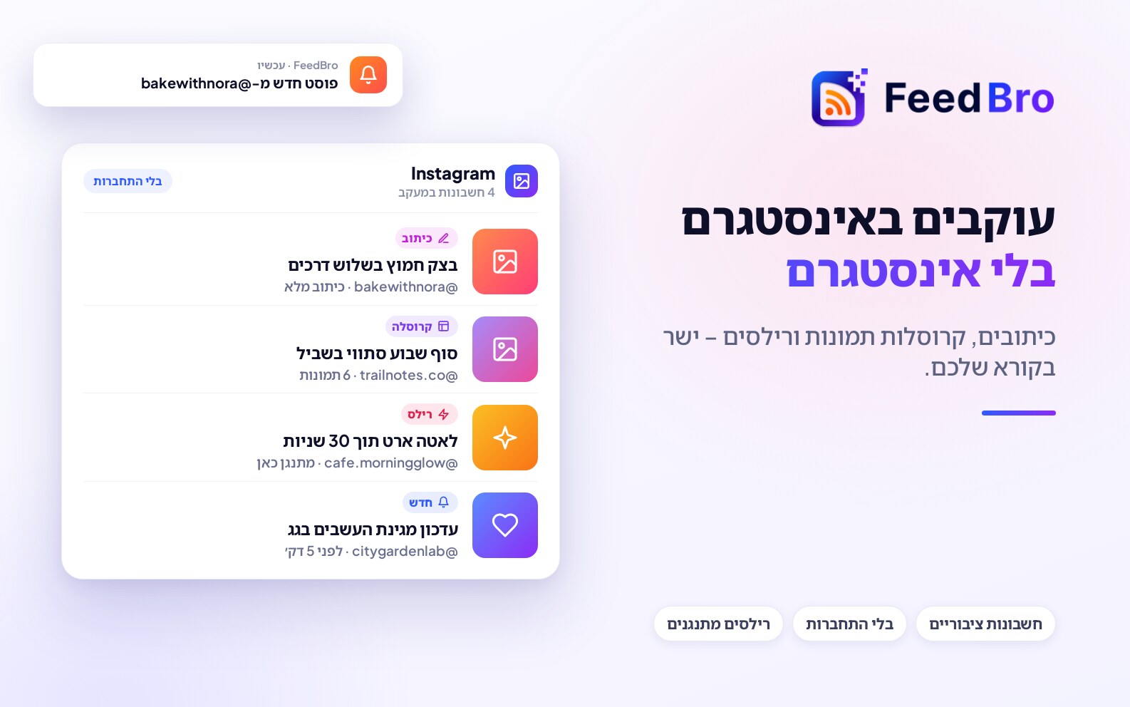 עוקבים אחרי חשבונות אינסטגרם ציבוריים ב-FeedBro