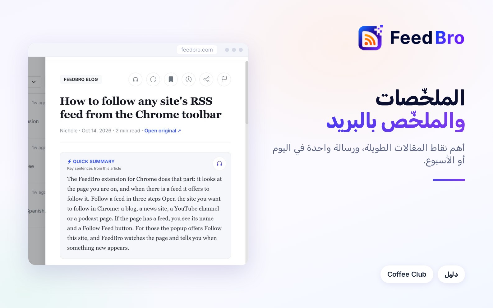 الملخّص السريع والملخّص بالبريد