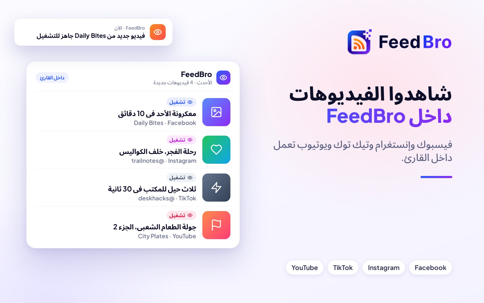 شاهدوا فيديوهات فيسبوك وإنستغرام وتيك توك داخل FeedBro