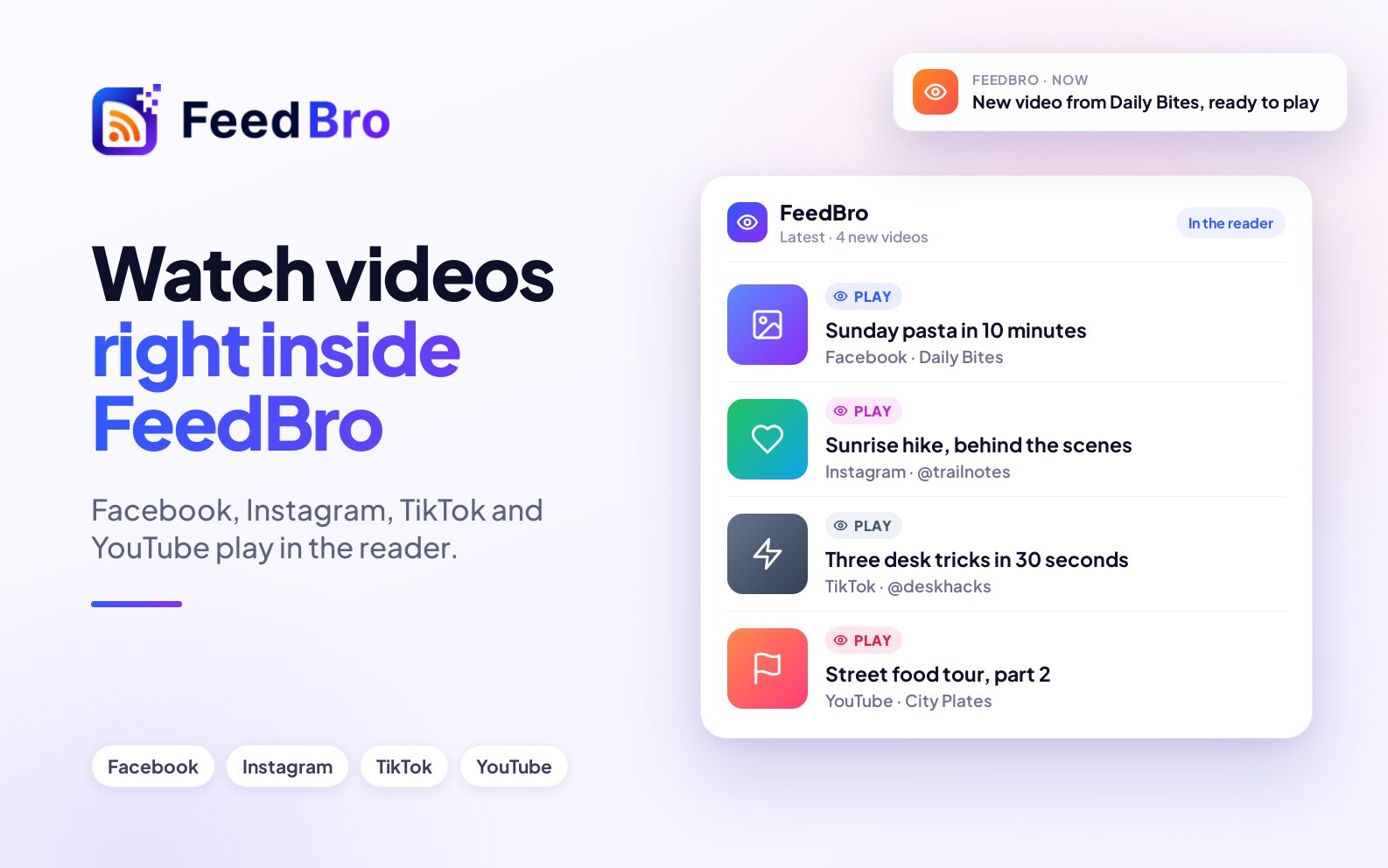Watch Facebook, Instagram and TikTok Videos Inside FeedBro
